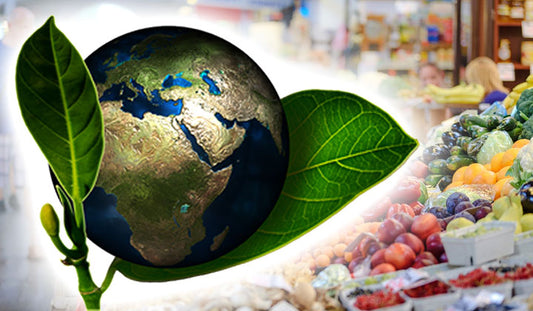 Around the World with Prairie Oils