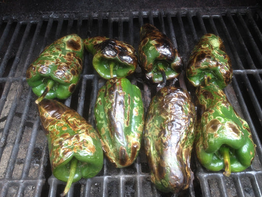 Spicy Grilled Summer Salad