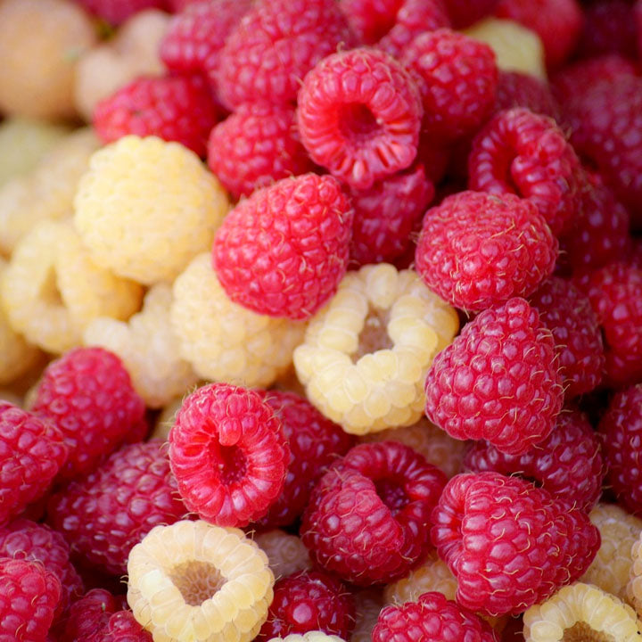 Wild Raspberry White Balsamic White Balsamic Vinegar