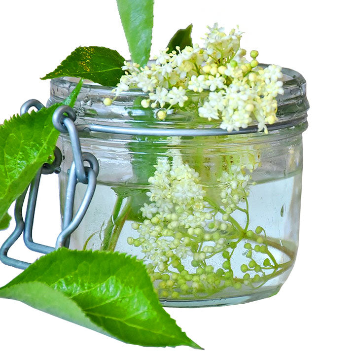 Elderflower White Balsamic White Balsamic Vinegar