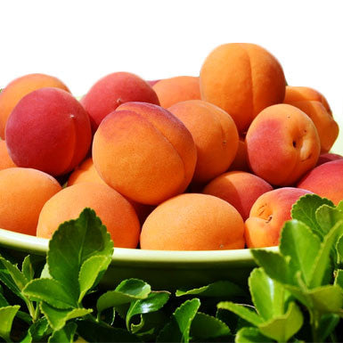 Apricot White Balsamic White Balsamic Vinegar