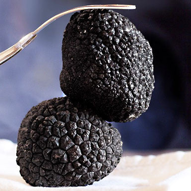 Black Truffle Olive Oil Gourmet Oils & Vinegars