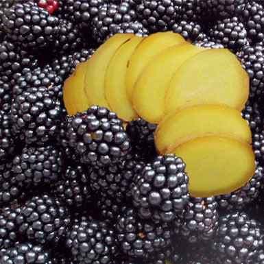 Blackberry Ginger Balsamic Balsamic Vinegar