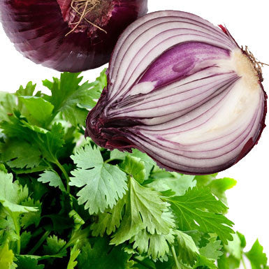 Cilantro & Red Onion Olive Oil
