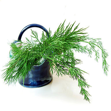 Dill Olive Oil Infused Olive Oil