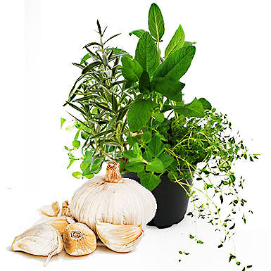 Italian Herbs Balsamic Balsamic Vinegar