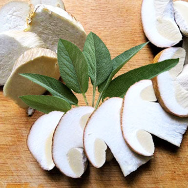 Mushroom & Sage Olive Oil Infused Olive Oil