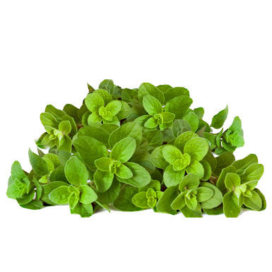 Oregano White Balsamic