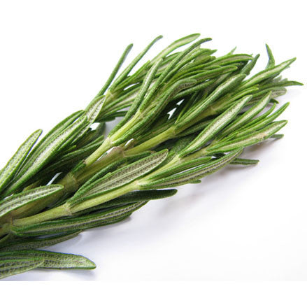 Rosemary Olive Oil