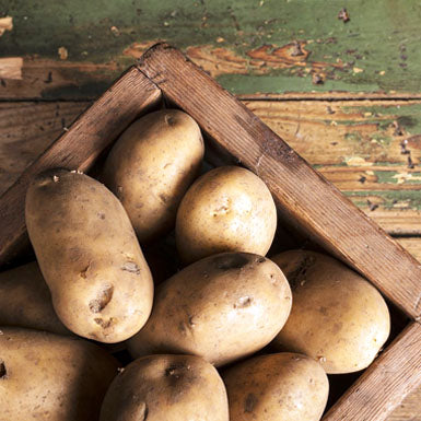 Winkler Update: The Potatoes are Coming!