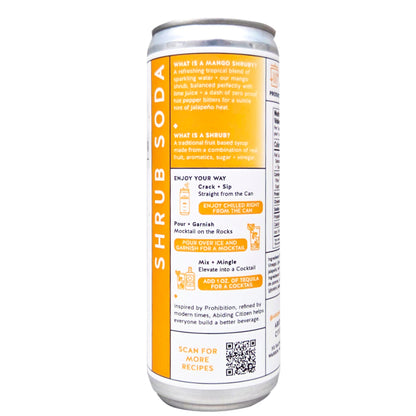 Abiding Citizen Shrub Soda