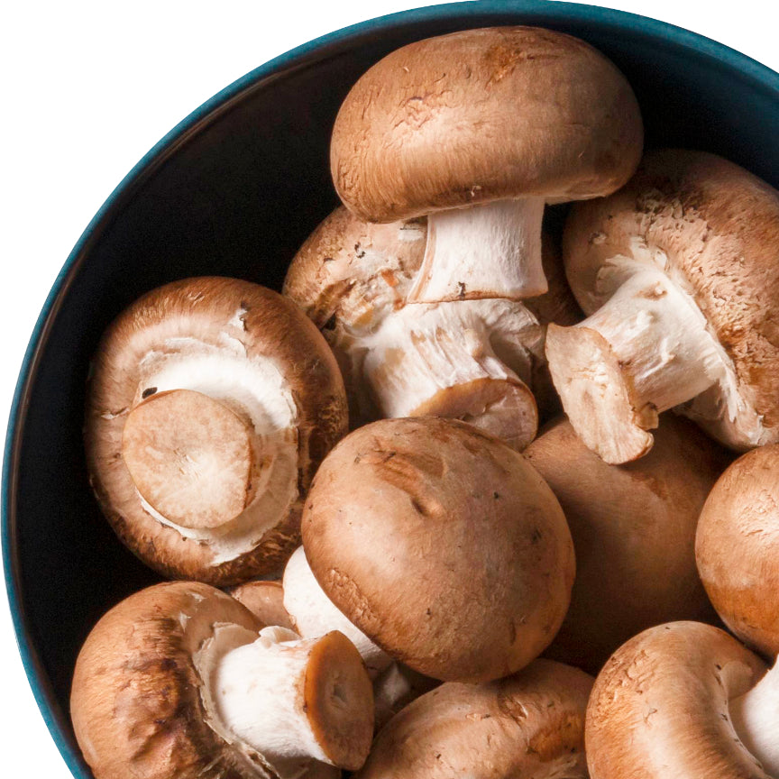 Porcini Mushroom Olive Oil