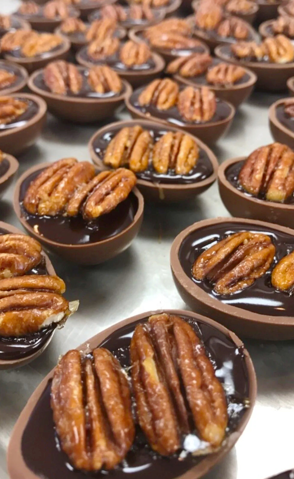 Decadence Chocolates Snapping Turtles