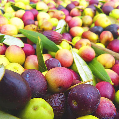 Arbosana Extra Virgin Olive Oil Super Premium Extra Virgin Olive Oil