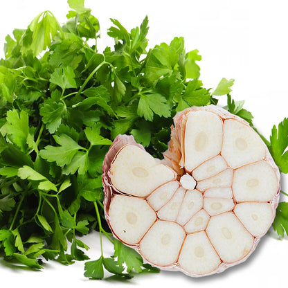 Cilantro Garlic White Balsamic White Balsamic Vinegar